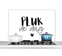Credence Citations - Carpe diem - Proverbes - Saisir le jour Fond de hotte 100x65 cm Credence aluminium Plaque inox de cuisine