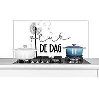Credence Citations - Proverbes - Carpe diem - Saisir la journée Fond de hotte 100x50 cm Credence aluminium Plaque inox de cuisine
