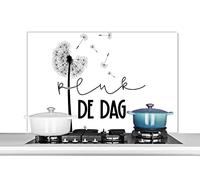 Credence Citations - Saisir le jour - Carpe diem - Proverbes Fond de hotte 100x65 cm Credence aluminium Plaque inox de cuisine