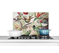 Credence Colibri - Vintage - Ernst Haeckel - Oiseau - Art - Nature Fond de hotte 60x40 cm Credence aluminium Plaque inox de cuisine