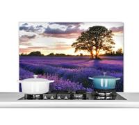 Credence Coucher de soleil d'un soir d'été sur un champ de lavande biologique dans le Surrey, en Angleterre. Fond de hotte 100x65 cm Credence aluminium Plaque inox de cuisine