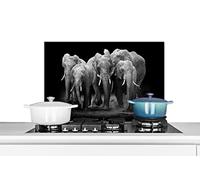 Credence Éléphant - Noir - Blanc - Animaux Fond de hotte 70x50 cm Credence aluminium Plaque inox de cuisine