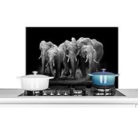 Credence Éléphant - Noir - Blanc - Animaux Fond de hotte 80x55 cm Credence aluminium Plaque inox de cuisine