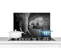 Credence Faune sauvage - Éléphant - Noir - Blanc - Portrait Fond de hotte 60x40 cm Credence aluminium Plaque inox de cuisine
