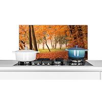 Credence Feuilles - Automne - Forêt Fond de hotte 80x40 cm Credence aluminium Plaque inox de cuisine