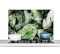 Credence Feuilles - Plantes - Nature Fond de hotte 100x65 cm Credence aluminium Plaque inox de cuisine