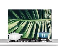 Credence Feuilles - Tropical - Jungle Fond de hotte 100x65 cm Credence aluminium Plaque inox de cuisine