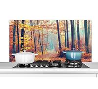 Credence Forêt - Automne - Feuilles Fond de hotte 120x60 cm Credence aluminium Plaque inox de cuisine