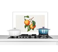 Credence Fruits - Alimentation - Feuilles Fond de hotte 60x40 cm Credence aluminium Plaque inox de cuisine