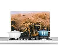 Credence Grain - Nature - Plantes Fond de hotte 90x60 cm Credence aluminium Plaque inox de cuisine