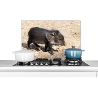 Credence Grand - Cochon - Sauvage Fond de hotte 70x50 cm Credence aluminium Plaque inox de cuisine