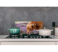 Credence Highlander écossais - Animaux - Lande Fond de hotte 60x30 cm Credence aluminium Plaque inox de cuisine