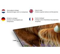 Credence Highlander écossais - Cornes - Bruyères Fond de hotte 60x30 cm Credence aluminium Plaque inox de cuisine