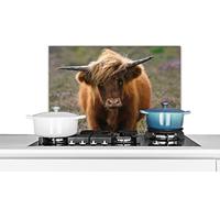 Credence Highlander écossais - Lande - Animaux Fond de hotte 60x40 cm Credence aluminium Plaque inox de cuisine
