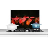 Credence Les feuilles rouges sur un fond noir Fond de hotte 60x40 cm Credence aluminium Plaque inox de cuisine