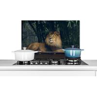 Credence Lion - Forêt - Sauvage Fond de hotte 70x50 cm Credence aluminium Plaque inox de cuisine