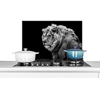 Credence Lion - Portrait - Faune sauvage - Noir - Blanc Fond de hotte 70x50 cm Credence aluminium Plaque inox de cuisine