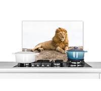 Credence Lion - Roches - Sauvage Fond de hotte 70x50 cm Credence aluminium Plaque inox de cuisine