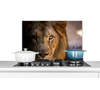 Credence Lions - Profil - Couleurs Fond de hotte 60x40 cm Credence aluminium Plaque inox de cuisine