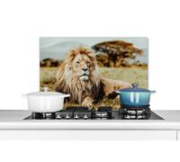 Credence Lions - sauvages - Afrique Fond de hotte 60x40 cm Credence aluminium Plaque inox de cuisine