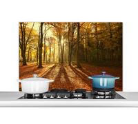 Credence Lumière - Feuilles - Automne Fond de hotte 100x65 cm Credence aluminium Plaque inox de cuisine