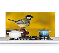 Credence Mésange charbonnière - Oiseau - Eau Fond de hotte 120x60 cm Credence aluminium Plaque inox de cuisine