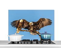 Credence Oiseau - Branches - Aigle - Rapaces - Air Fond de hotte 100x65 cm Credence aluminium Plaque inox de cuisine