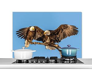 Credence Oiseau - Branches - Aigle - Rapaces - Air Fond de hotte 100x65 cm Credence aluminium Plaque inox de cuisine