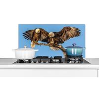 Credence Oiseau - Branches - Aigle - Rapaces - Air Fond de hotte 80x40 cm Credence aluminium Plaque inox de cuisine