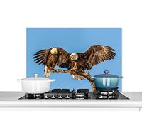 Credence Oiseau - Branches - Aigle - Rapaces - Air Fond de hotte 80x55 cm Credence aluminium Plaque inox de cuisine
