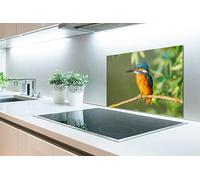 Credence Oiseau - Martin-pêcheur - Branche - Feuilles - Mousse Fond de hotte 60x40 cm Credence aluminium Plaque inox de cuisine