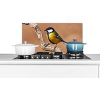 Credence Oiseau - Mésange charbonnière - Branches Fond de hotte 60x30 cm Credence aluminium Plaque inox de cuisine