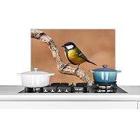 Credence Oiseau - Mésange charbonnière - Branches Fond de hotte 70x50 cm Credence aluminium Plaque inox de cuisine
