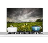 Credence Pré avant la tempête Fond de hotte 100x65 cm Credence aluminium Plaque inox de cuisine