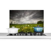 Credence Pré avant la tempête Fond de hotte 80x55 cm Credence aluminium Plaque inox de cuisine