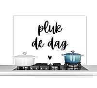 Credence Saisir le jour - Carpe diem - Citations - Proverbes Fond de hotte 100x65 cm Credence aluminium Plaque inox de cuisine