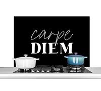 Credence Saisir le jour - Citations - Carpe diem - Proverbes Fond de hotte 100x65 cm Credence aluminium Plaque inox de cuisine