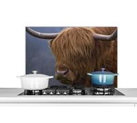 Credence Scottish Highlander Bull - Tête de vache - Gros plan Fond de hotte 80x55 cm Credence aluminium Plaque inox de cuisine