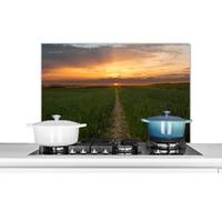 Credence Soleil - Herbe - Route Fond de hotte 80x55 cm Credence aluminium Plaque inox de cuisine