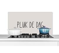 Credence Texte - Citations - Carpe Diem - Saisir la journée Fond de hotte 100x50 cm Credence aluminium Plaque inox de cuisine