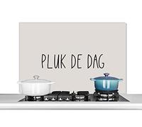 Credence Texte - Citations - Carpe Diem - Saisir la journée Fond de hotte 100x65 cm Credence aluminium Plaque inox de cuisine