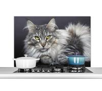 Credence Un beau chat Maine Coon couché Fond de hotte 100x65 cm Credence aluminium Plaque inox de cuisine