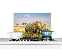 Credence Un éléphant se cache derrière des buissons Fond de hotte 60x40 cm Credence aluminium Plaque inox de cuisine