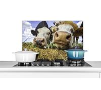 Credence Vaches - Foin - Portrait Fond de hotte 70x50 cm Credence aluminium Plaque inox de cuisine