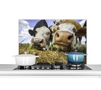 Credence Vaches - Foin - Portrait Fond de hotte 80x55 cm Credence aluminium Plaque inox de cuisine