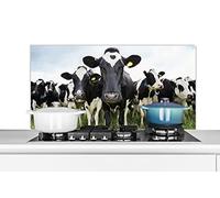 Credence Vaches - Herbe - Printemps - Animaux - Pré - Ferme Fond de hotte 100x50 cm Credence aluminium Plaque inox de cuisine