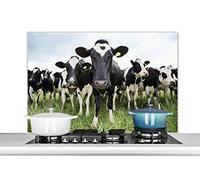 Credence Vaches - Herbe - Printemps - Animaux - Pré - Ferme Fond de hotte 100x65 cm Credence aluminium Plaque inox de cuisine