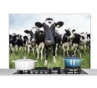 Credence Vaches - Herbe - Printemps - Animaux - Pré - Ferme Fond de hotte 120x80 cm Credence aluminium Plaque inox de cuisine