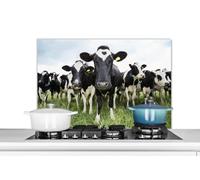 Credence Vaches - Herbe - Printemps - Animaux - Pré - Ferme Fond de hotte 90x60 cm Credence aluminium Plaque inox de cuisine