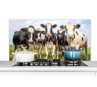 Credence Vaches - Pâturage - Animaux - Nature - Herbe Fond de hotte 120x60 cm Credence aluminium Plaque inox de cuisine
